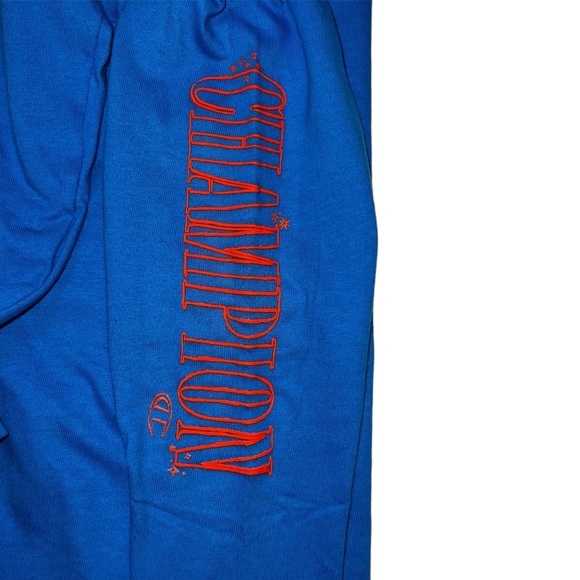 Champion| Middleweight T-shirt Hoodie |Blue Jay |Sketches| Small - Picture 4 of 5
